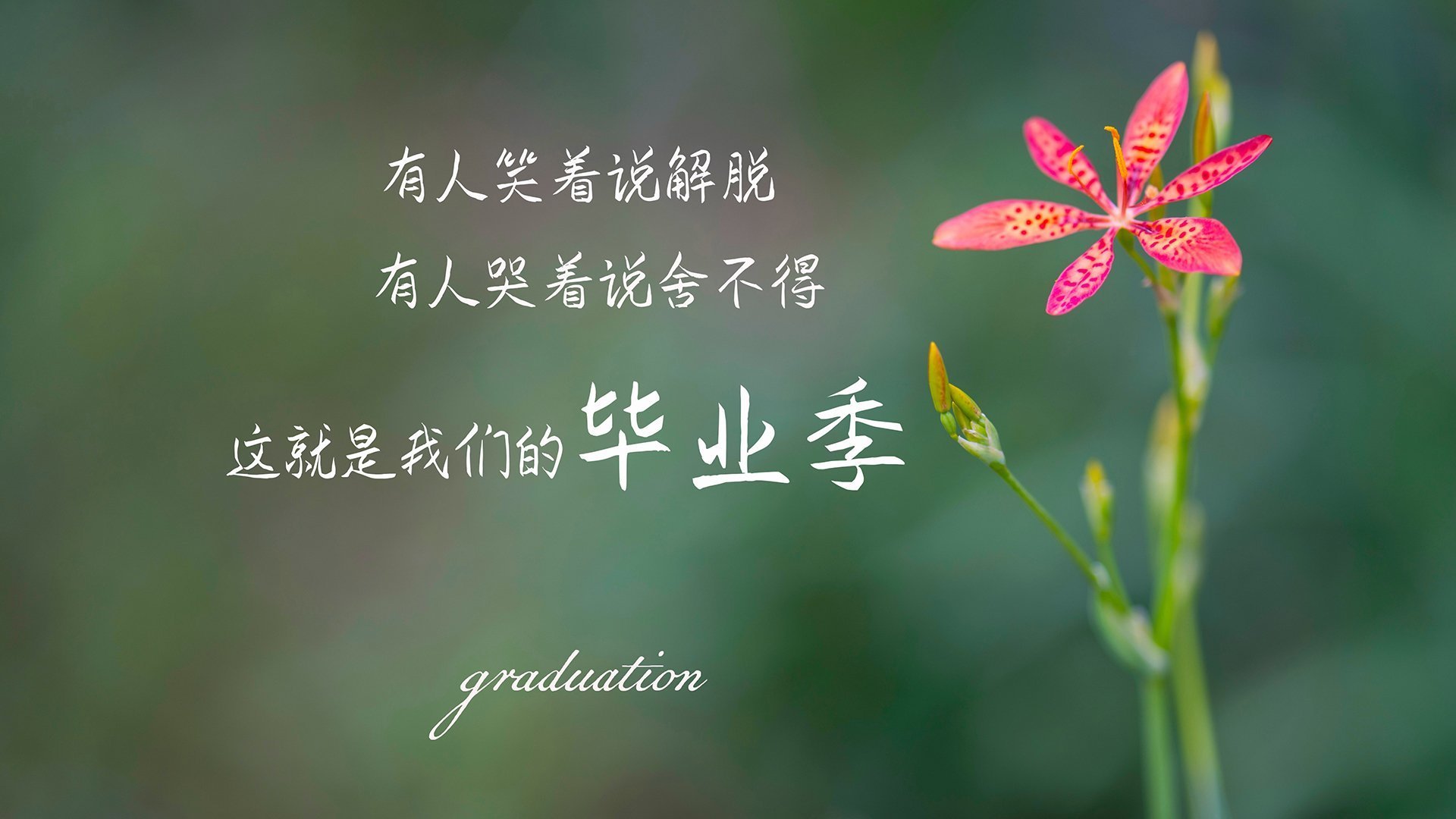 世界乒坛青少年精英赛:区域明星选拔体系完善,乒乓球青少年世界排名